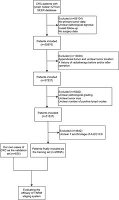 Construction of a new clinical staging system for colorectal cancer based on the lymph node ratio: A validation study